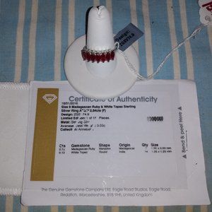 Madagascan Rudy and Topaz Ring Size9